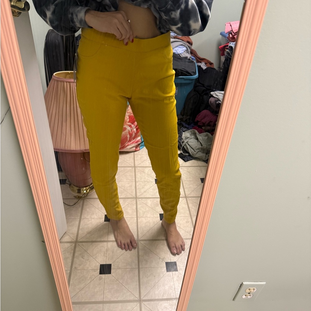 NWT Pleated Trousers